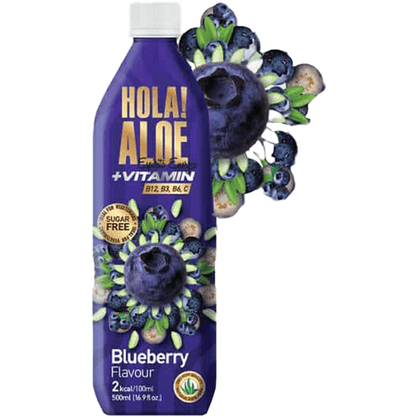 HOLA!ALOE ΒΙΤΑΜΙΝΟΥΧΑ ΧΩΡ.ΖΑΧΑΡΗ BLUEBERRY